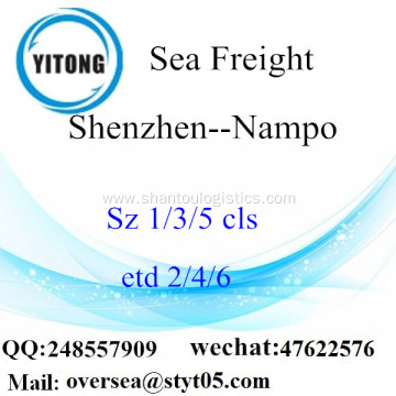 Shenzhen Port LCL Consolidation To Nampo